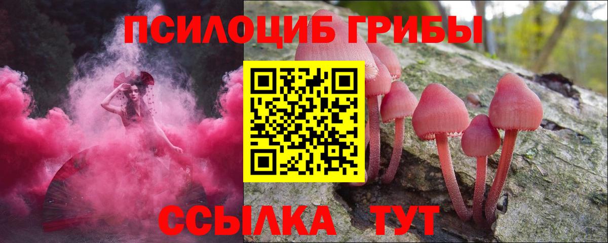Нарьян-Мар  продажа наркотиков  Вход с VPN  Галлюциногенные грибы GOLDEN TEACHER 